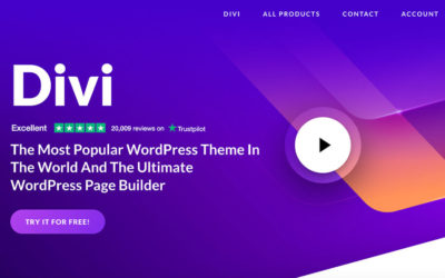 Ist Divi WordPress zurecht eines der beliebtesten WordPress Themes weltweit?
